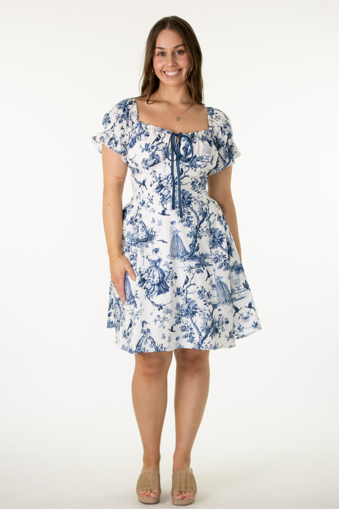 Layla French Toile Dress